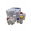 Ferritin