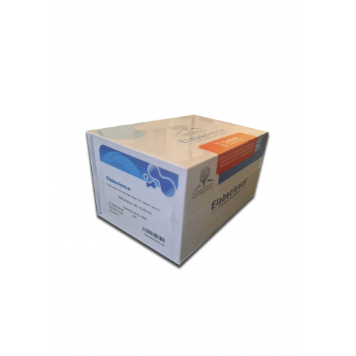 ИФА набор В6 (Vitamin B6)  