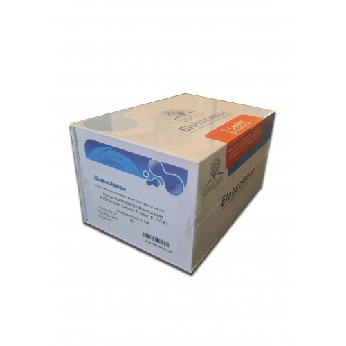 RNASE3 / ECP 