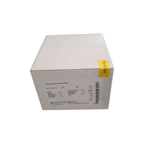  Парвовирус B19 IgG